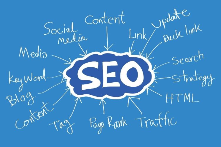 SEO Ranking And Case Studies | 6+ Years Of Experience